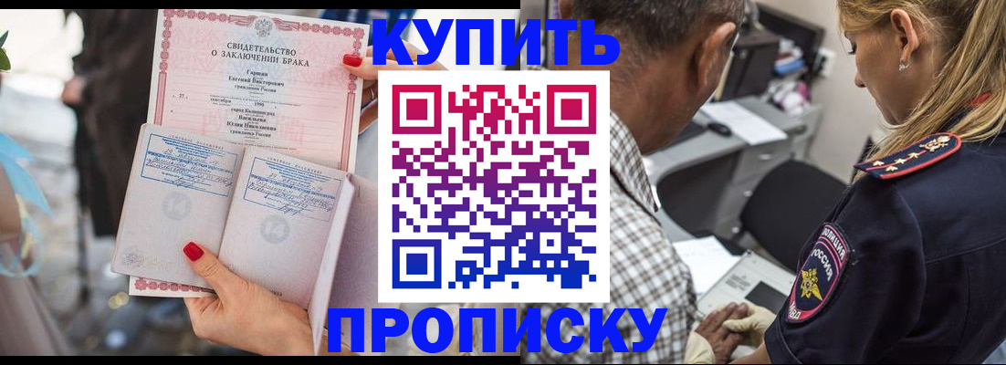 прописка законно в Камешково